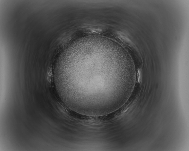 X0000087331395200704201119