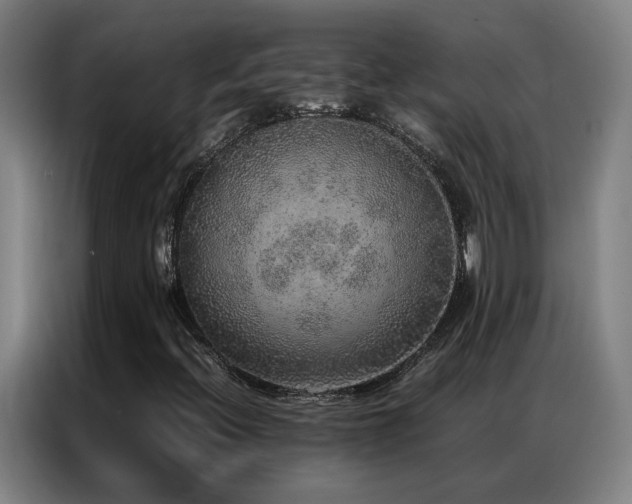 X0000087331396200704201120