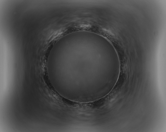 X0000087331397200704201120