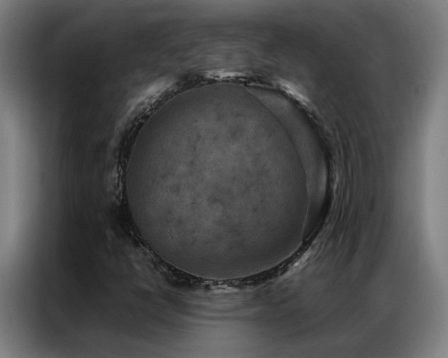 X0000087331398200704201120