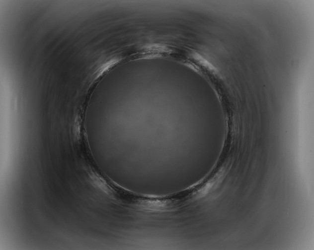 X0000087331401200704201120
