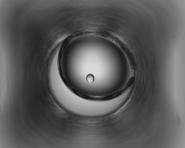 X0000087331402200704201120
