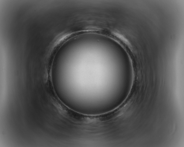 X0000087331407200704201120