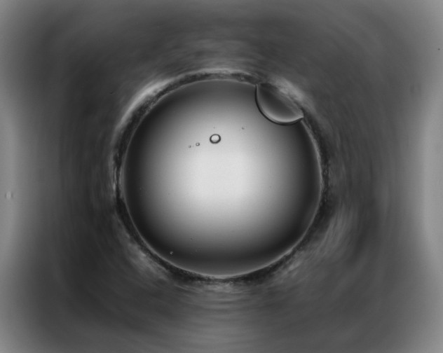 X0000087331408200704201120