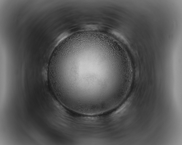 X0000087331409200704201120