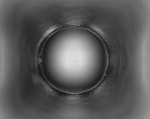 X0000087331410200704201120