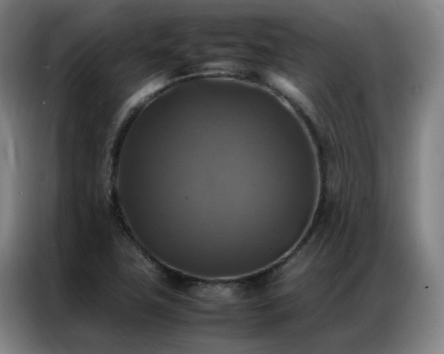 X0000087331411200704201120
