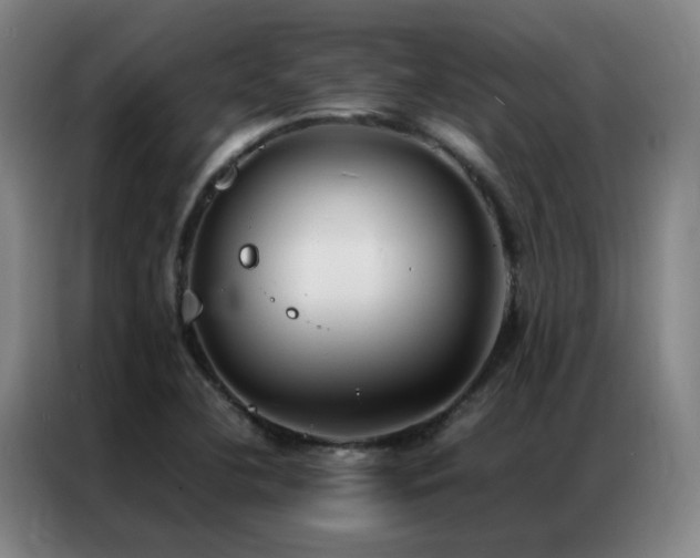 X0000087331412200704201120