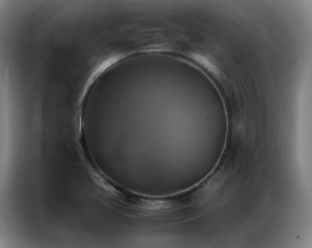 X0000087331413200704201120