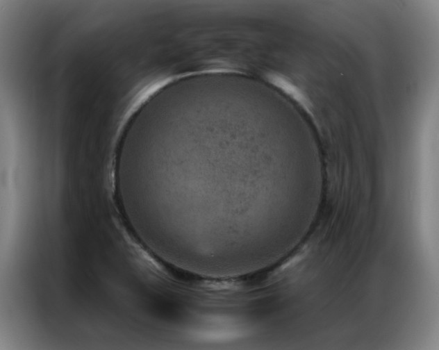 X0000087331415200704201120