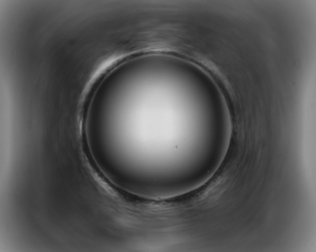 X0000087331416200704201120