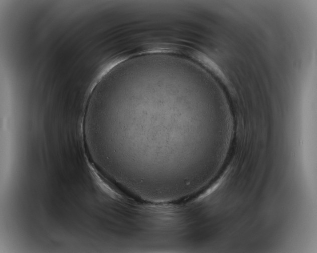 X0000087331417200704201120
