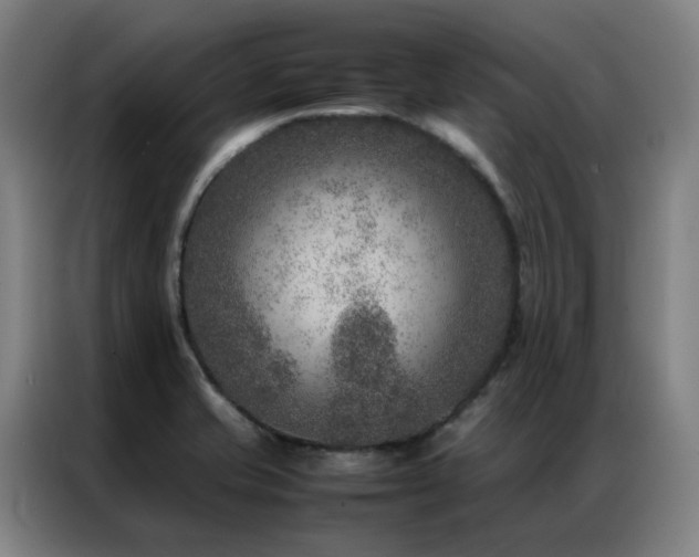 X0000087331421200704201120