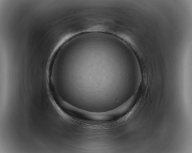 X0000087331422200704201120