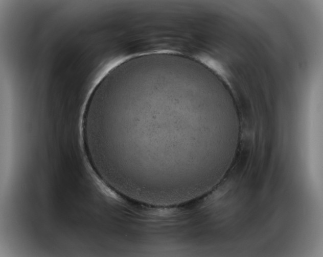 X0000087331423200704201120