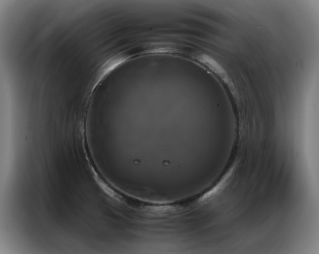 X0000087331425200704201120