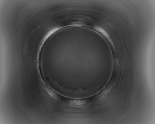 X0000087331427200704201120