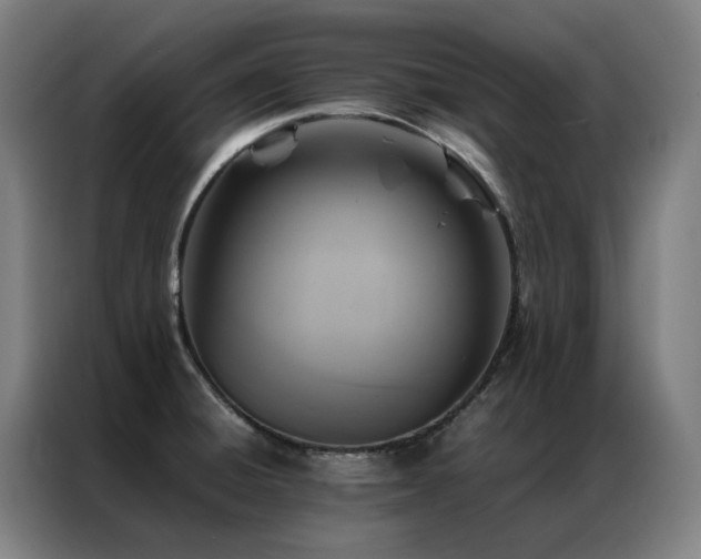 X0000087331428200704201120