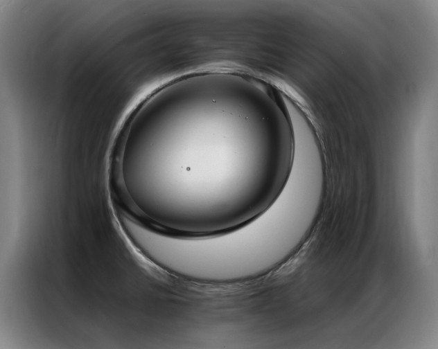 X0000087331430200704201120