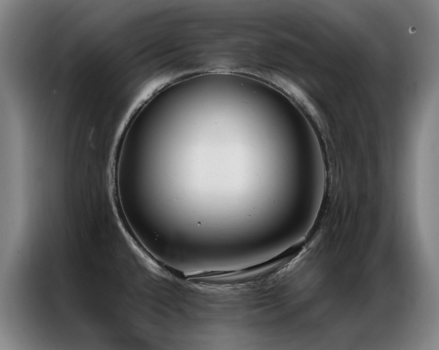 X0000087331432200704201120