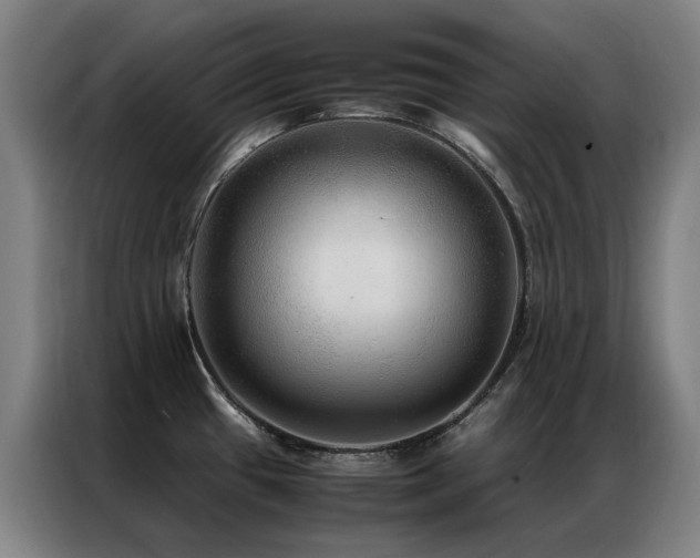 X0000087331433200704201120