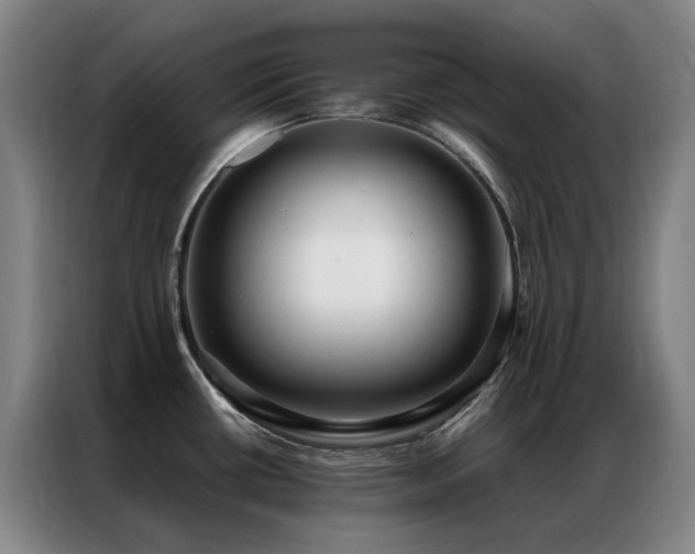X0000087331434200704201120