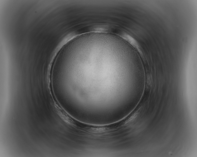 X0000087331435200704201120
