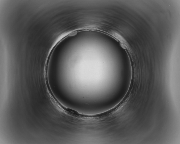 X0000087331436200704201120