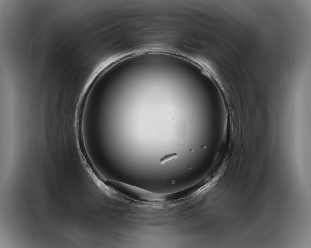 X0000087331438200704201120