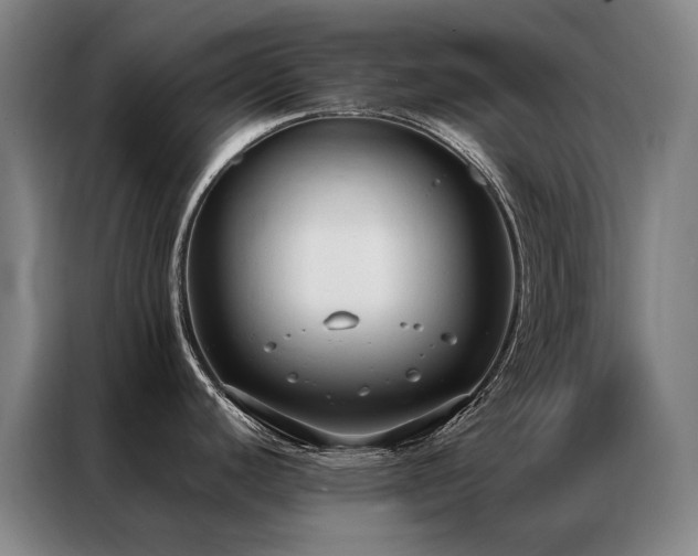 X0000087331440200704201120