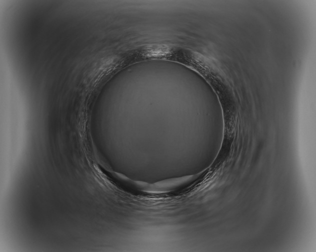X0000087331441200704201119