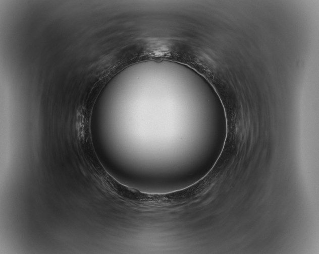 X0000087331442200704201119