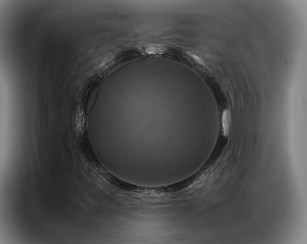 X0000087331443200704201119