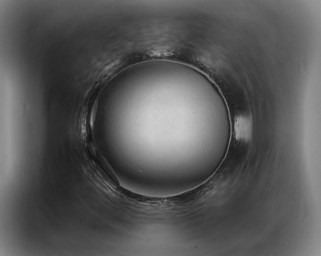 X0000087331444200704201119