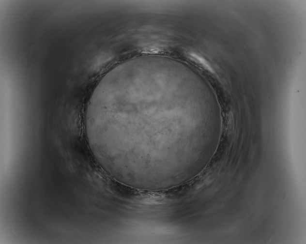 X0000087331446200704201119
