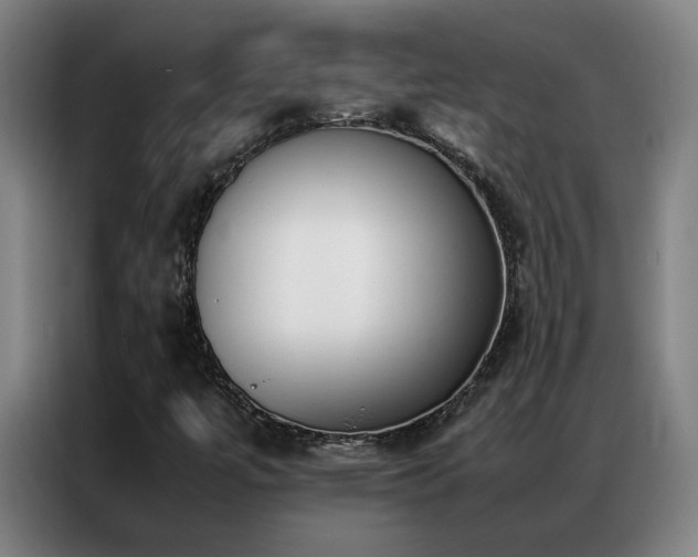 X0000087331447200704201119