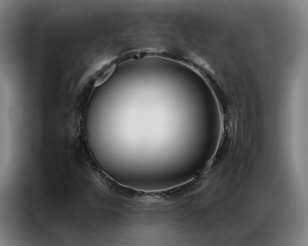 X0000087331448200704201119