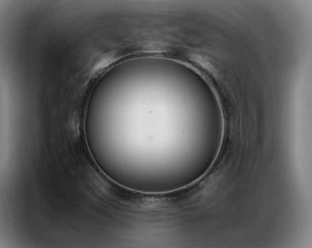 X0000087331451200704201119