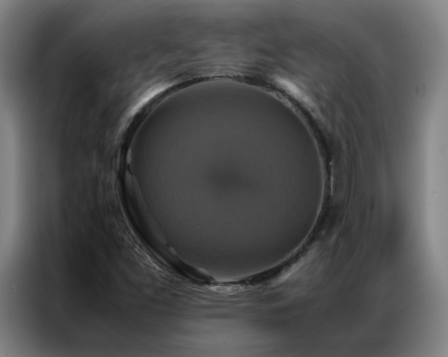 X0000087331453200704201119