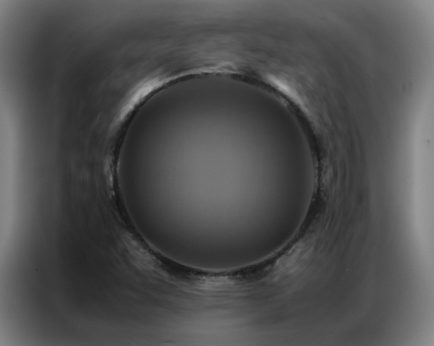 X0000087331455200704201119