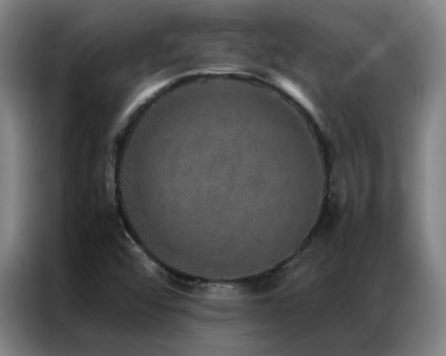 X0000087331456200704201119