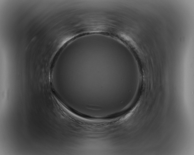 X0000087331457200704201119