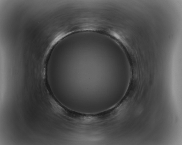 X0000087331459200704201119