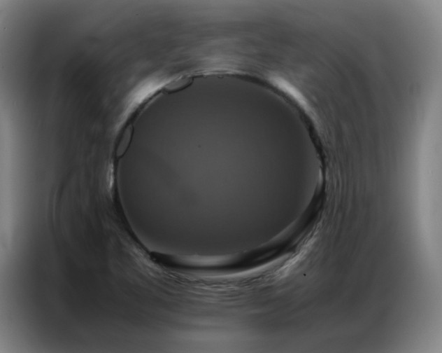 X0000087331461200704201119