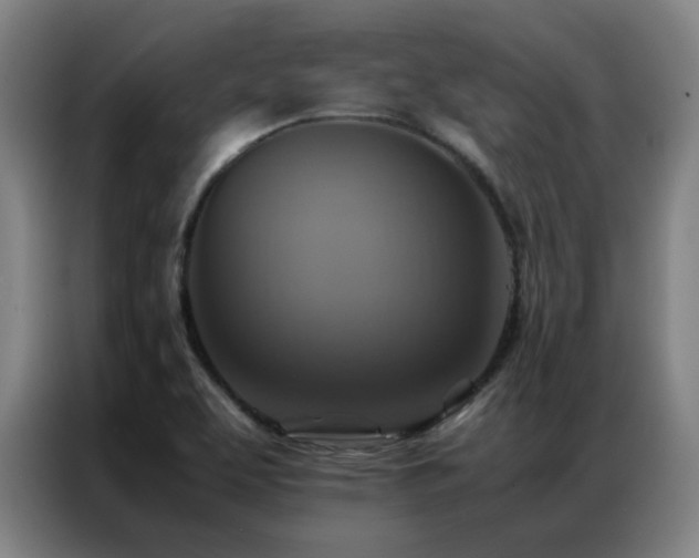 X0000087331463200704201119