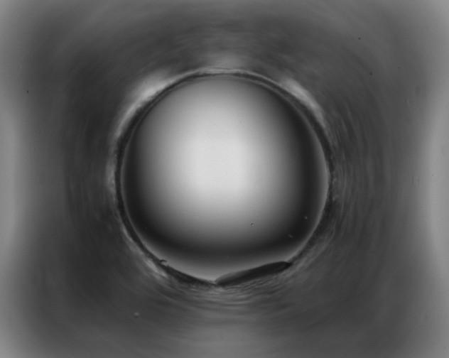 X0000087331464200704201119