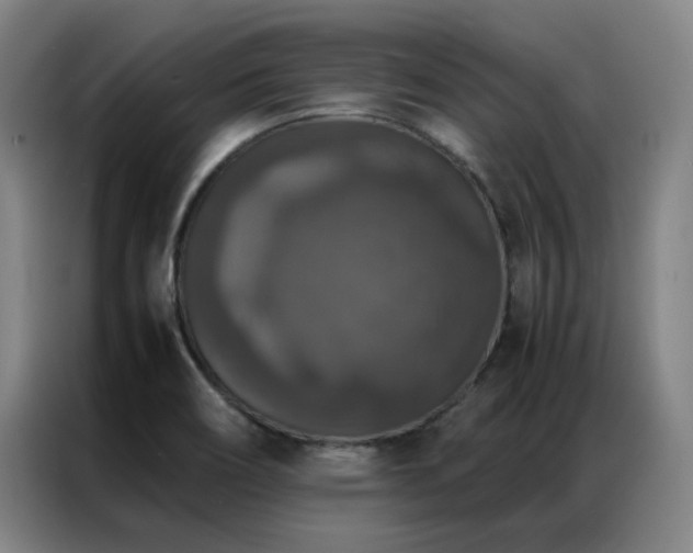 X0000087331466200704201119