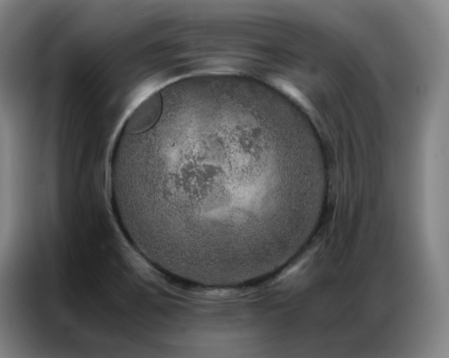 X0000087331467200704201119