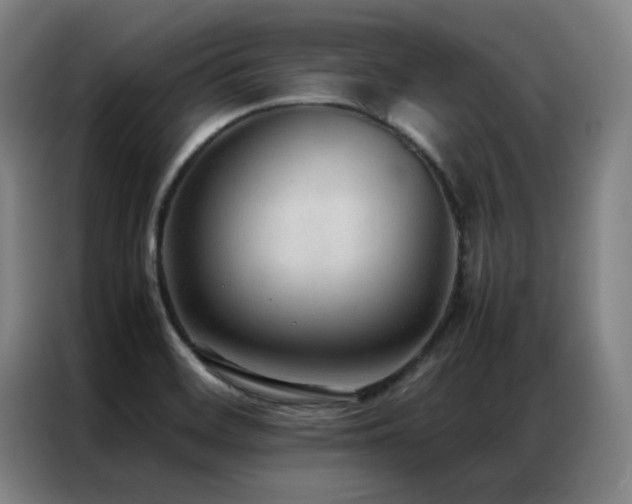 X0000087331468200704201119