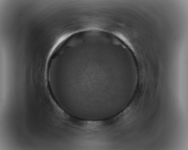 X0000087331469200704201119